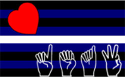 IDL Flag