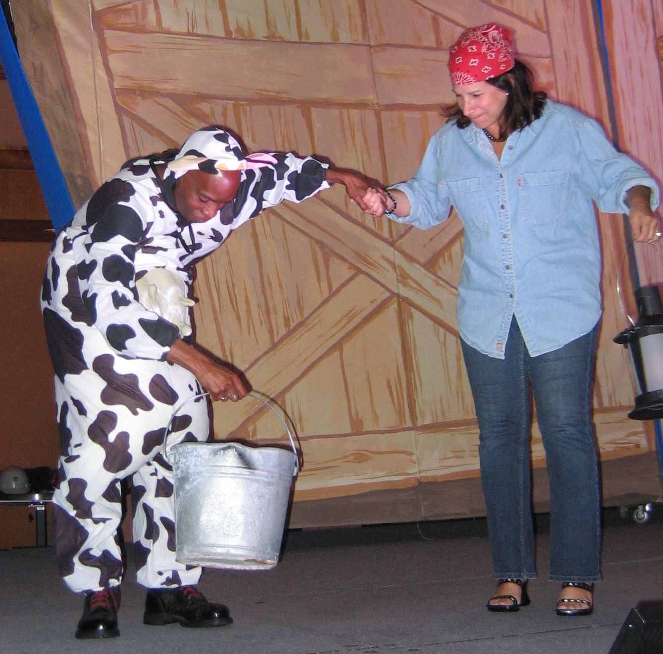IDL 2009 photo