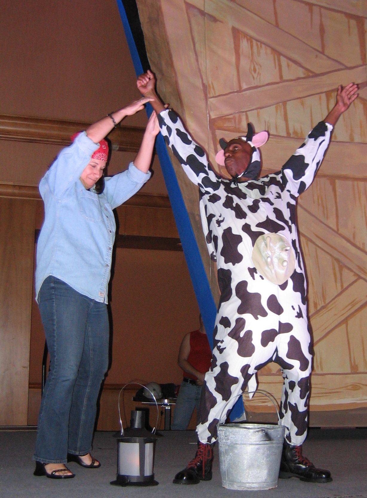 IDL 2009 photo